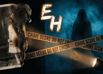 Creepiest True Stories You Won't Forget